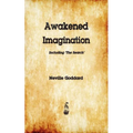 Awakened Imagination - Paperback