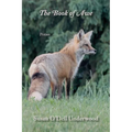 The Book of Awe - Paperback