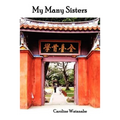 My Many Sisters, the Journal of a Volunteer with the Daughters of Charity - Paperback