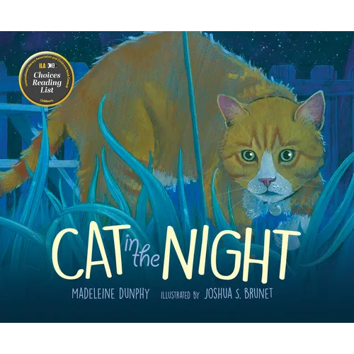 Cat in the Night - Hardcover