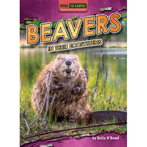Beavers in Their Ecosystems - Library Binding