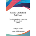 Familiar Life In Field And Forest: The Animals, Birds, Frogs, And Salamanders (1898) - Paperback