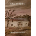 What Remains - Paperback