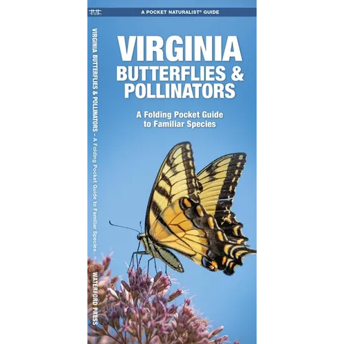 Virginia Butterflies & Pollinators: A Folding Pocket Guide to Familiar Species