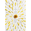 The Summer of Broken Things - Hardcover