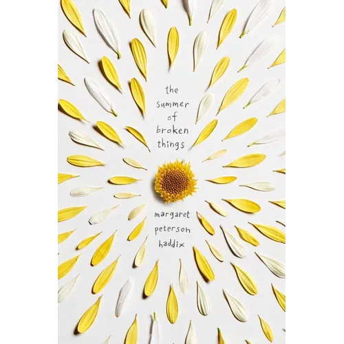 The Summer of Broken Things - Hardcover
