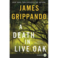 A Death in Live Oak: A Jack Swyteck Novel - Paperback