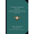 A Saint Among Saints: A Sketch Of The Life Of Saint Emmelia, Mother Of St. Basil The Great (1885) - Paperback