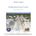Hobe Sound Bridge Road Town Center: Project Vision and History - Paperback