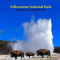 Yellowstone Park Attractions and Sights to See Kids Book: Great Book for kids about Yellowstone National Park - Paperback