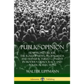 Public Opinion: How People Decide; The Role of News, Propaganda and Manufactured Consent in Modern Democracy and Political Elections - Paperback