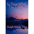 In Tune with the Infinite: Philosophical Reflections on Mind, Harmony, and the Infinite - Paperback