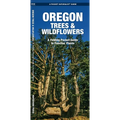 Oregon Trees & Wildflowers: A Folding Pocket Guide to Familiar Plants