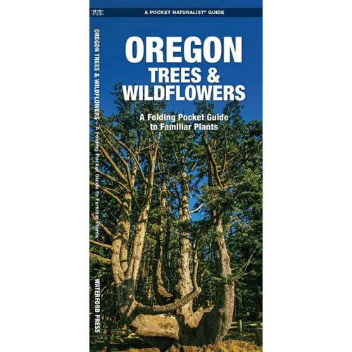 Oregon Trees & Wildflowers: A Folding Pocket Guide to Familiar Plants