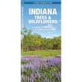 Indiana Trees & Wildflowers: A Folding Pocket Guide to Familiar Plants - Hardcover