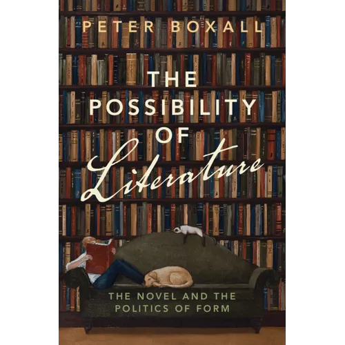 The Possibility of Literature - Hardcover