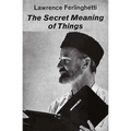 The Secret Meaning of Things: Poetry - Paperback