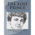 The Lost Prince - Paperback