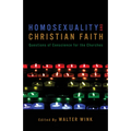 Homosexuality and Christian Faith: Questions of Conscience for the Churches - Paperback