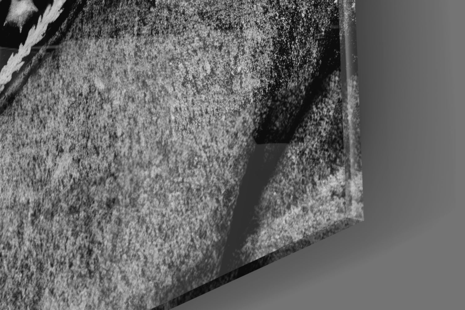 Ataturk  Glass Wall Art