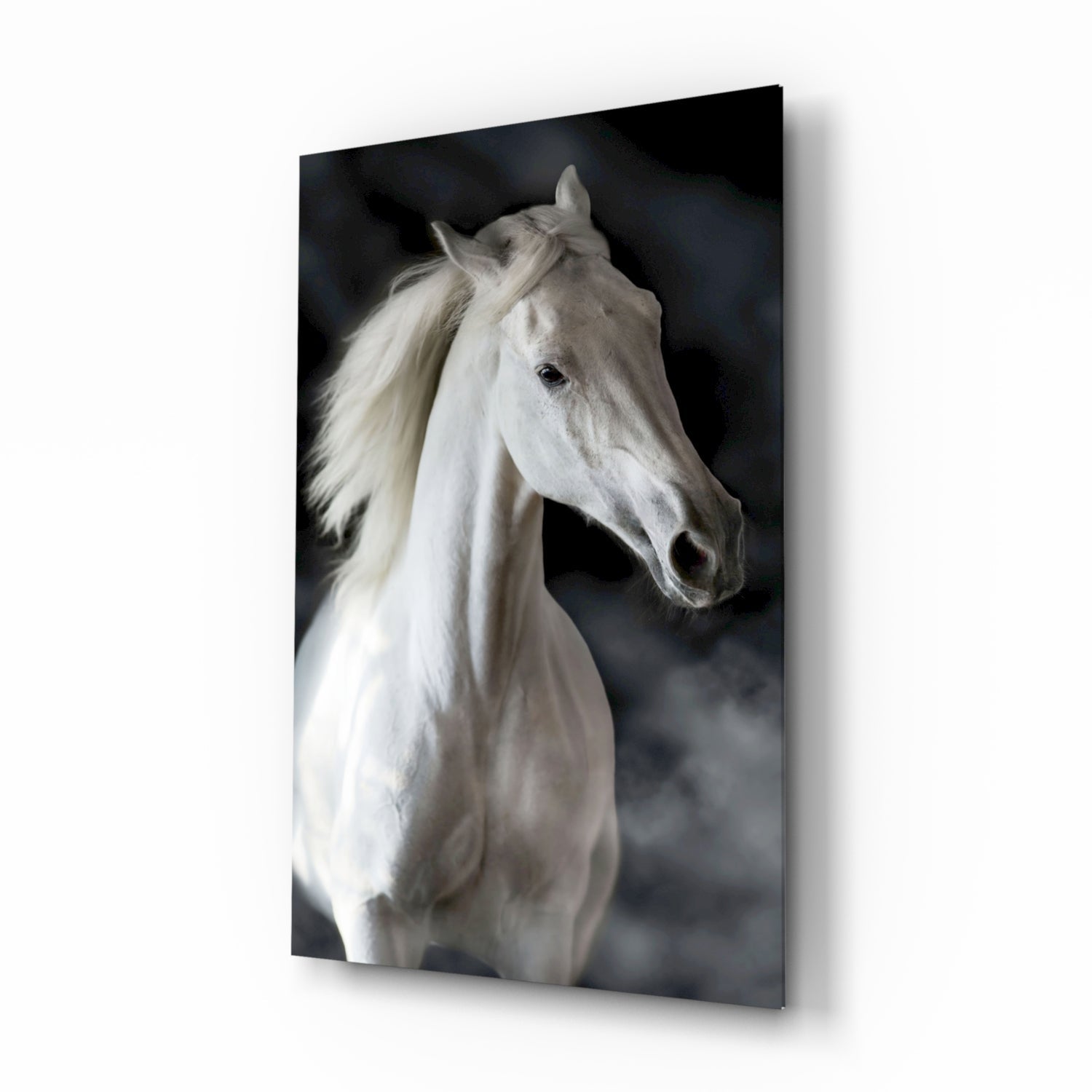 Horse Glass Wall Art