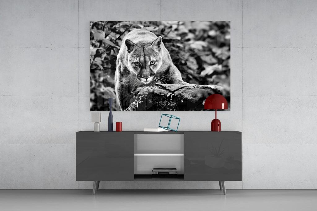 Puma Glass Wall Art