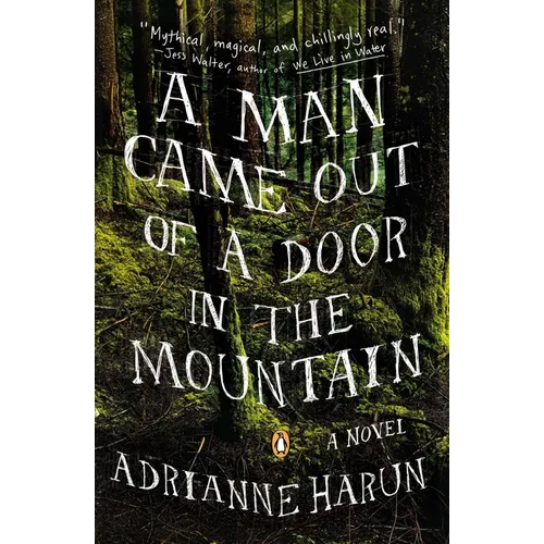 A Man Came Out of a Door in the Mountain - Paperback