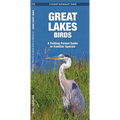Great Lakes Birds: An Introduction to Familiar Species - Loose Leaf