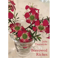Borrowed Riches - Paperback
